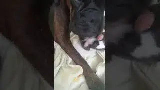 Что такое счастье!
