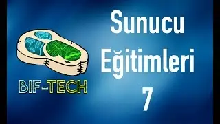Sunucu Eğitimleri | Bölüm 7 | Wordpress Kurulumu - Linux'da Yetkiler - .htaccess Ayarı