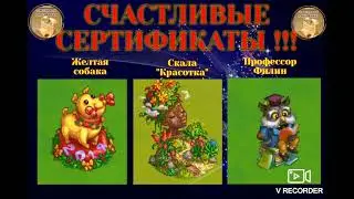Игра Запорожье # СЧАСТЛИВЫЙ СЕРТИФИКАТ!