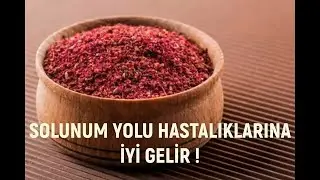 Sumak Nedir Faydaları ve Zararları Neledir?