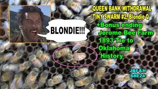 Banked Queen Withdrawal and Tiny Swarm #Tiny 2 w Blondie Queen S8E24 #beekeping
