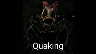 Oblitus Casa Daisy Sounds