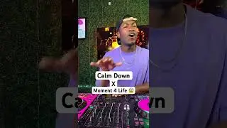 The Mashup You Didn’t Know You Needed 🥵 Rema Calm Down x Moment 4 Life #shorts