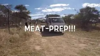 Meat-Prep!! Feeding big cats at Antelope Park