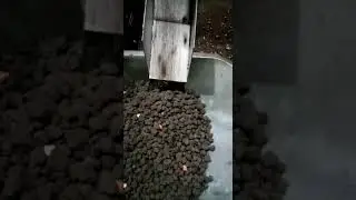 Сепаратор для лука севка, камнеотделитель