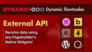 Use API Data in Elementor, Bricks, Breakdance, Gutenberg (Dynamic Shortcodes Tutorial)