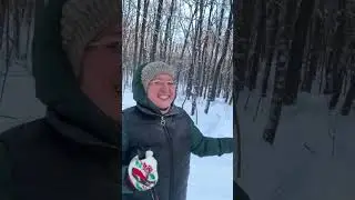 Самые веселые нарушители