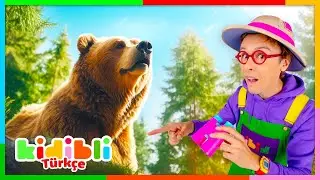 Vahşi Hayvanlar hakkında bilgi edinelim! | Çocuklar İçin Eğitici Hayvan Videoları | Kidibli
