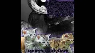 Kittengore Worldwide - Beautiful KittyGore (Gorenoise)