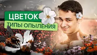 Цветок и типы опыления | Биология с Мишей Гис | ЕГЭ 2024 | SMITUP