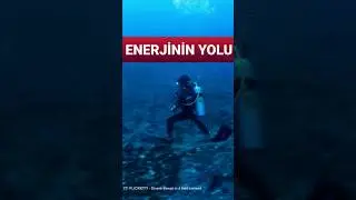 Okyanus Ekosistemlerinde Gelecek: Derin Deniz Akıntılarının Önemi