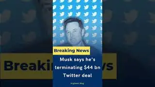 ELON MUSK wants to Terminate Twitter deal