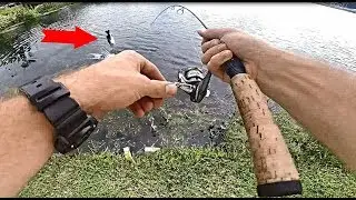FIshing City Ponds In Orlando FL