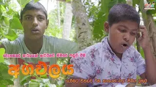 @badipodi agra palaya - BuddyPoddy