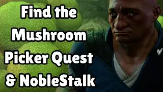 Find the Mushroom Picker Quest And NobleStalk Baldur's Gate 3