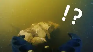 Quick river dive with underwater 4K drone (FIFISH V6S)