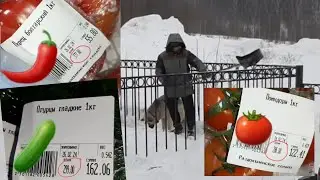 ПРОДАЖИ, ЦЕНЫ НА ОВОЩИ!!! ДОМА, ПЕРЕДЕЛКИ, ЧТО Я ЕМ?
