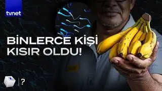 How the banana industry ruined the lives of thousands