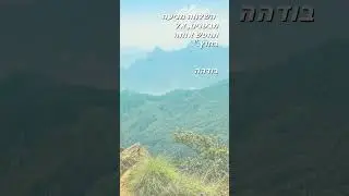 עצות לחיים וכל מילה נוספת מיותרת