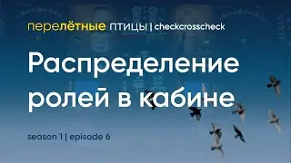 Распределение ролей в кабине | Почему второй пилот не помогает капитану? | Перелётные птицы