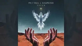 Pettra & Darwish - ASFUR