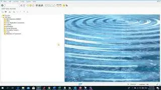 SU01 - PFCG - How to create a new user in SAP system and Authorize it to execute transactions 
