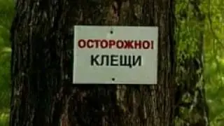 Главная премьера лета-2010