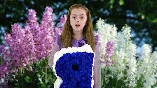Веснина Елизавета 1 Б класс