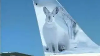 Frontier Airlines: Leather seats