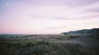 MOMENT #8 하늘빛 들판 들판빛 하늘 lavender fields forever | 멍때리기 좋은 피아노 연주곡 |