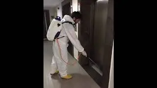 Worldpest Böcek ve Haşere İlaçlama
