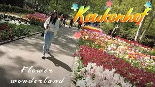 Tulip Paradise: Keukenhof Gardens, Amsterdam 🌷