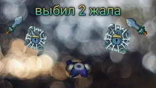 династ ио рейд сокр