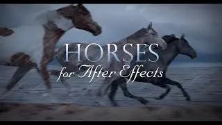 Horses for After Effects