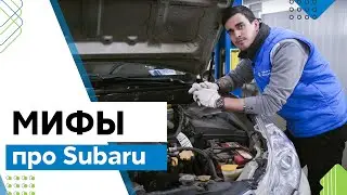Универсал  Subaru Outback - лучше кроссовера? 3 мифа про СУБАРУ. Как стучит Субару?