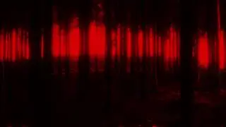 Darci - Winter Roads (Official)