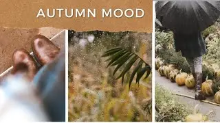 AUTUMN VLOG 🌾 #slowliving