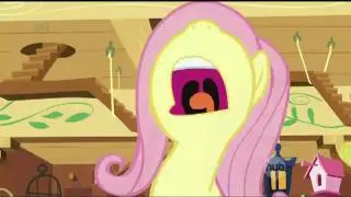 Fluttershy says No!: Louder.