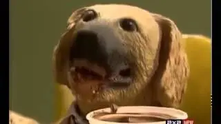Дерьмецо