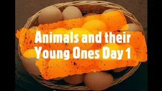 Animals and their Young Ones | Day - 1 | Biology