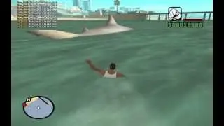 Shark That Kills -SAMP