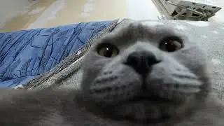 Маруся