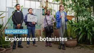 Des élèves explorent des biomes du monde