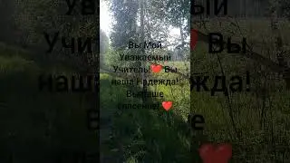 Благодарность Ведьме Алене Полынь