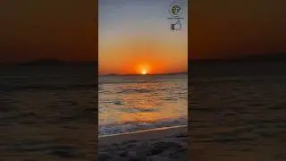 GOLDEN HOUR GLORY! Witness the Most Stunning Sunset Beach Moments