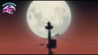 Anime Video Collection