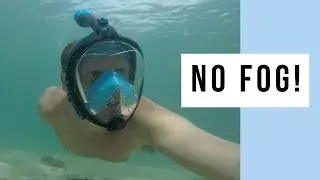 The Only 100% Fog Free Full Face Snorkel Mask - Seabeast AF90
