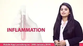 Topic Inflammation by Dr. Preeti Sharma.