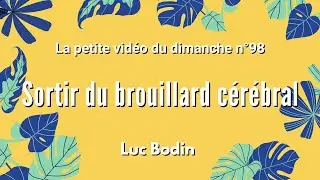 SORTIR DU BROUILLARD CÉRÉBRAL - La petite vidéo du dimanche n°98