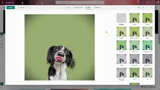 Testing the updated SharePoint Image web part in Microsoft 365